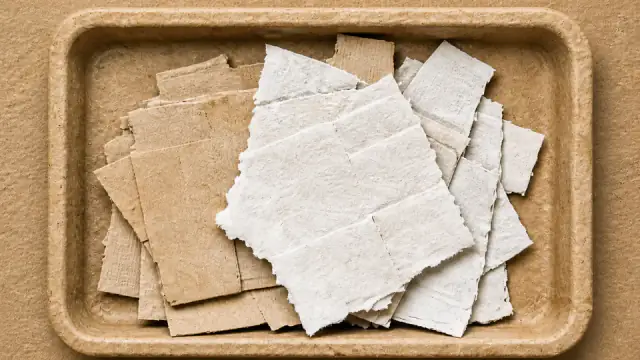 Representative paper samples in a fiberboard specimen tray.